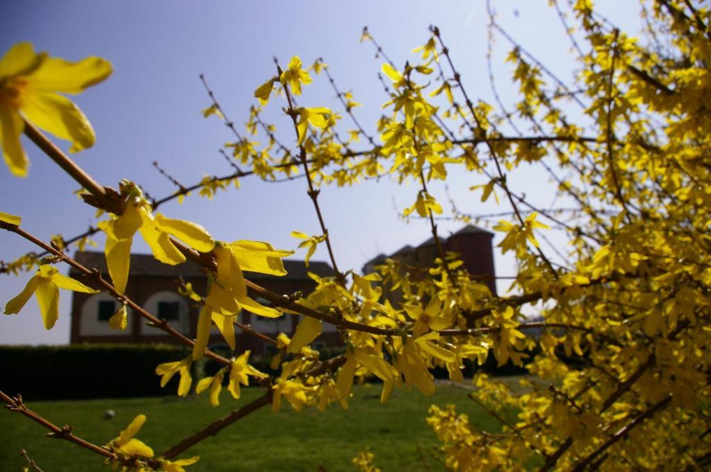 ヴァレンツァ Agriturismo Cascina Nuovaヴィラ エクステリア 写真