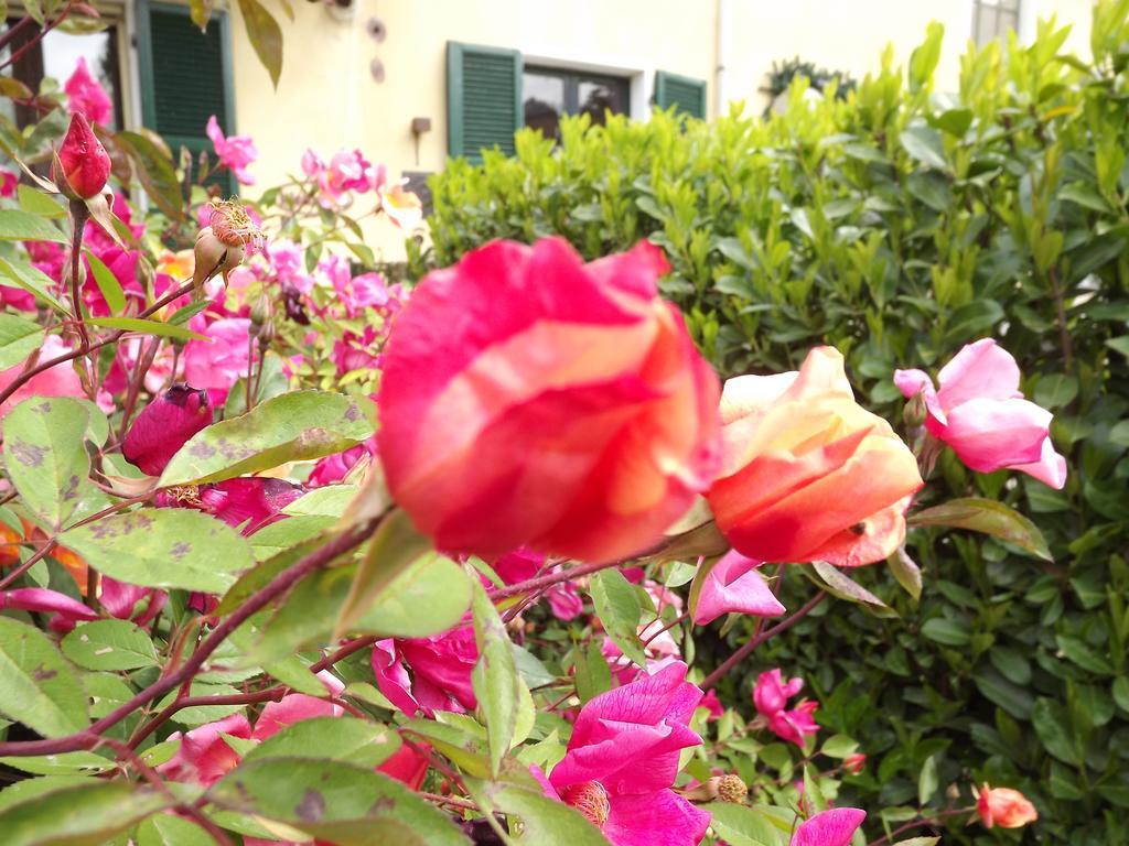 ヴァレンツァ Agriturismo Cascina Nuovaヴィラ エクステリア 写真