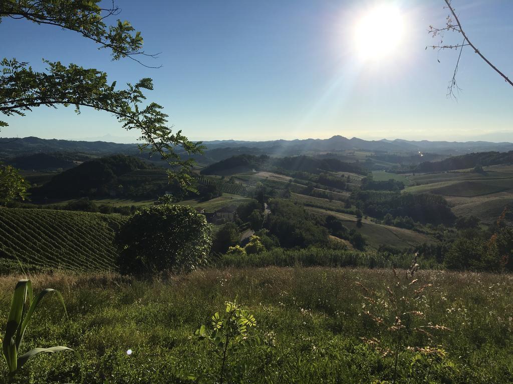 ヴァレンツァ Agriturismo Cascina Nuovaヴィラ エクステリア 写真