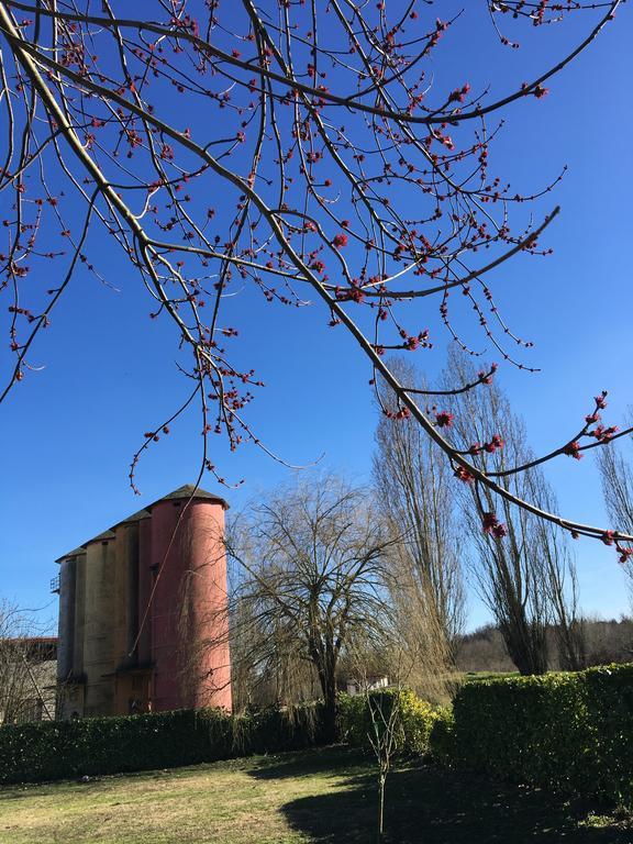 ヴァレンツァ Agriturismo Cascina Nuovaヴィラ エクステリア 写真
