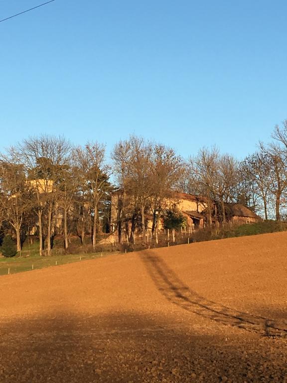 ヴァレンツァ Agriturismo Cascina Nuovaヴィラ エクステリア 写真