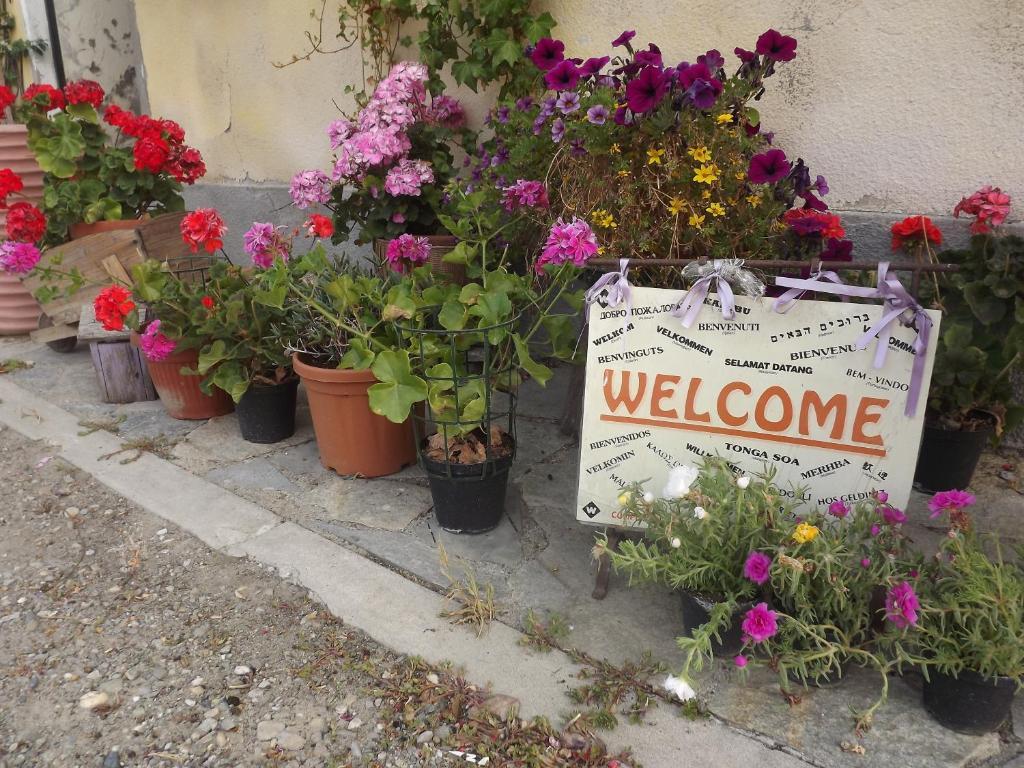 ヴァレンツァ Agriturismo Cascina Nuovaヴィラ エクステリア 写真