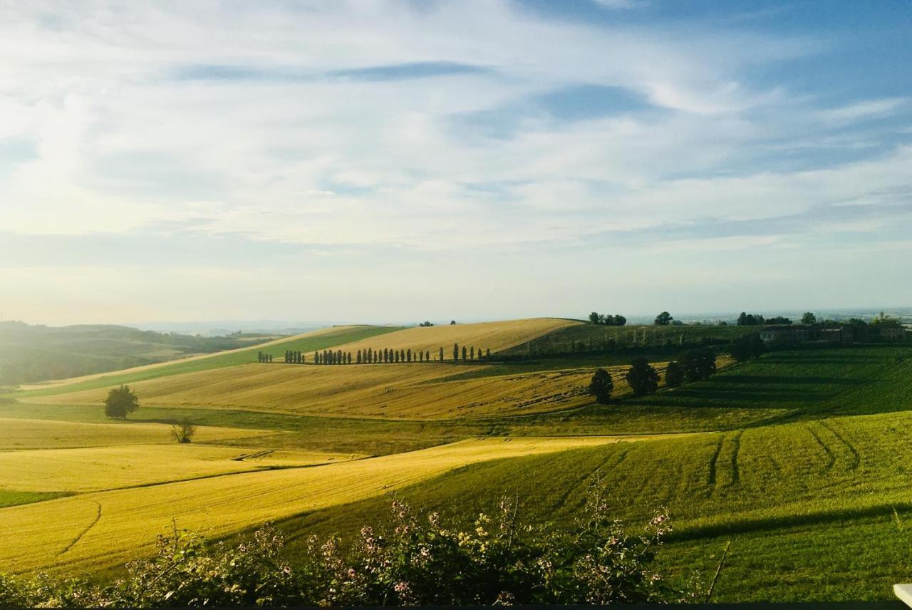 ヴァレンツァ Agriturismo Cascina Nuovaヴィラ エクステリア 写真